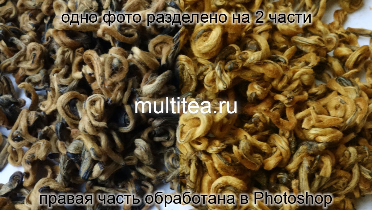 Дянь Хун Золотая Улитка - часть фото обработана в Photoshop