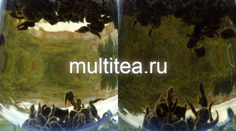 Танец чайных листьев Дянь Хун Золотая Улитка - 30 секунд