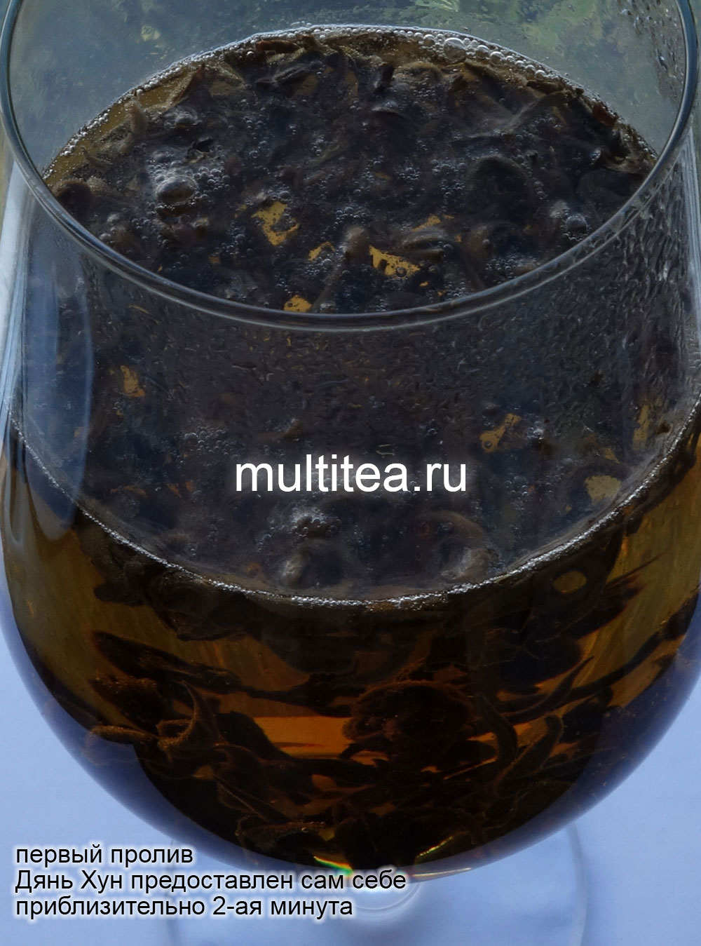 Дянь Хун Золотая Улитка - вторая минута первого пролива