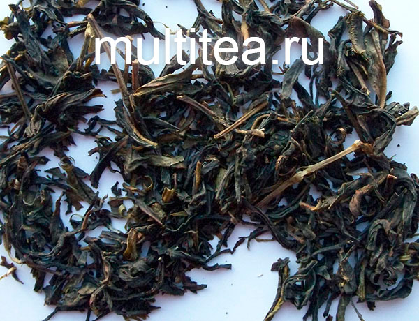 Phoenix Dancong large black leaves