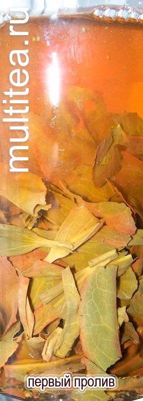 первый пролив large black leaves