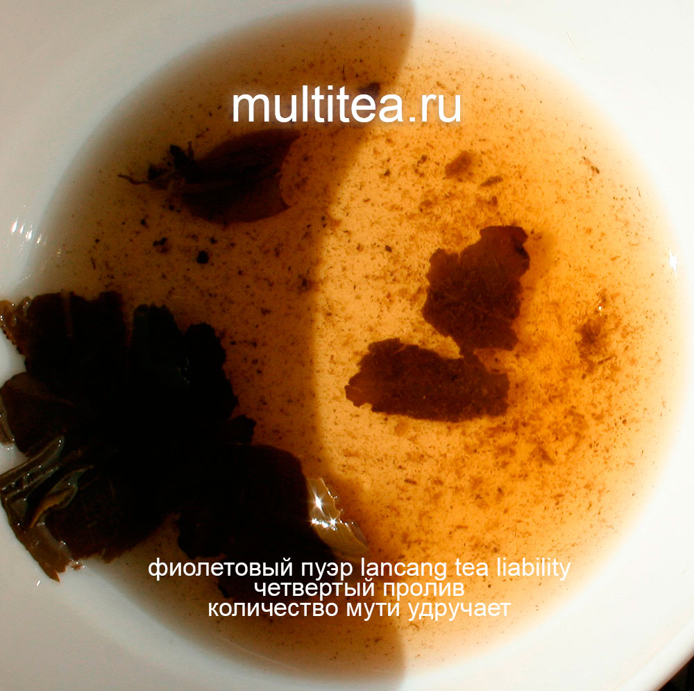 количество мути в настое фиолетового шен пуэра крупный план
