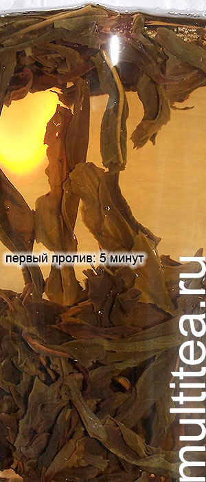улун Chaozhou Phoenix Dan Сong: первый пролив 5 минут