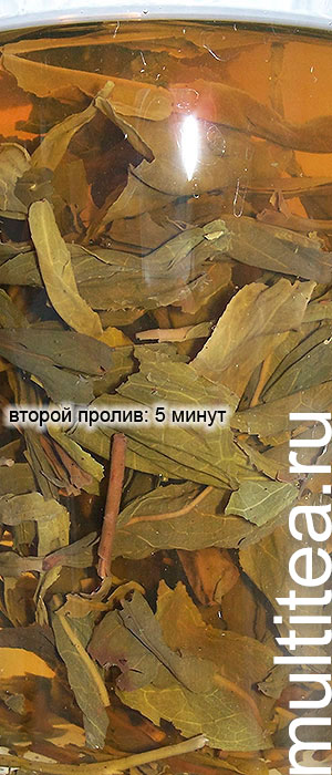 улун Chaozhou Phoenix Dan Сong: второй пролив 5 минут