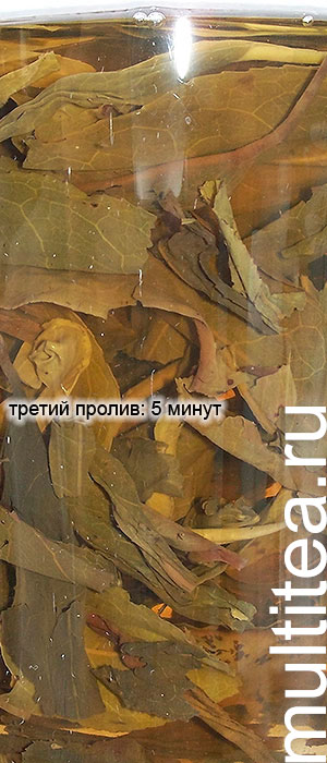 улун Chaozhou Phoenix Dan Сong: третий пролив 5 минут. Насыщенный и вкусный настой.