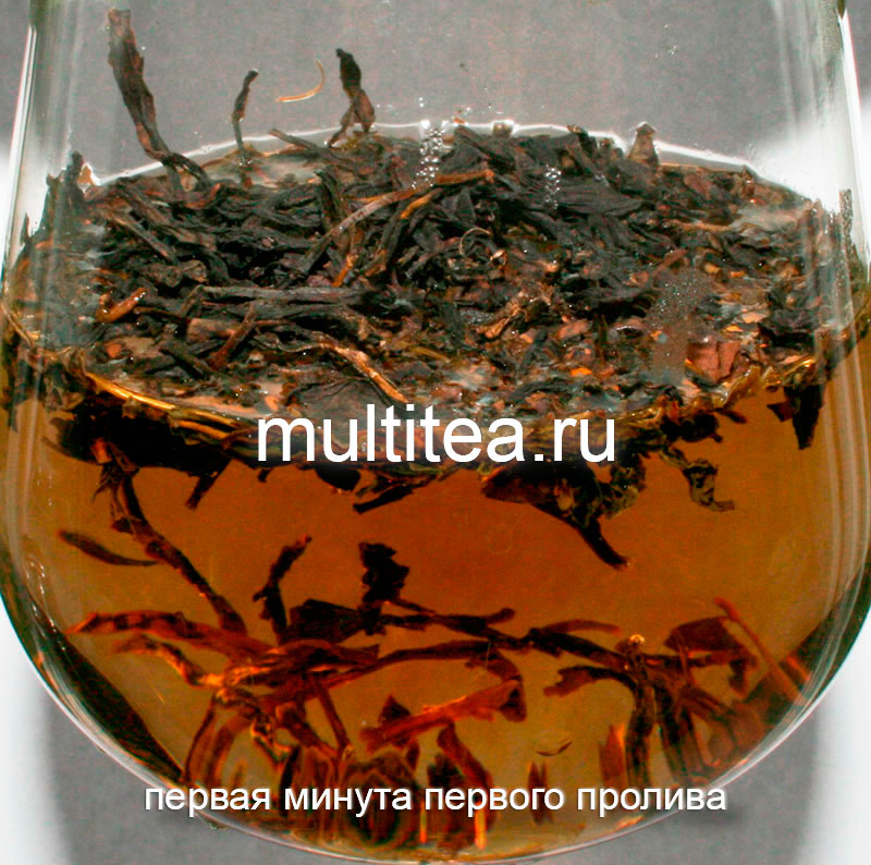 одна минута первого пролива улун Phoenix Dancong
