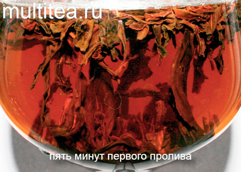 пять минут первого пролива улун Phoenix Dancong Gardeniya