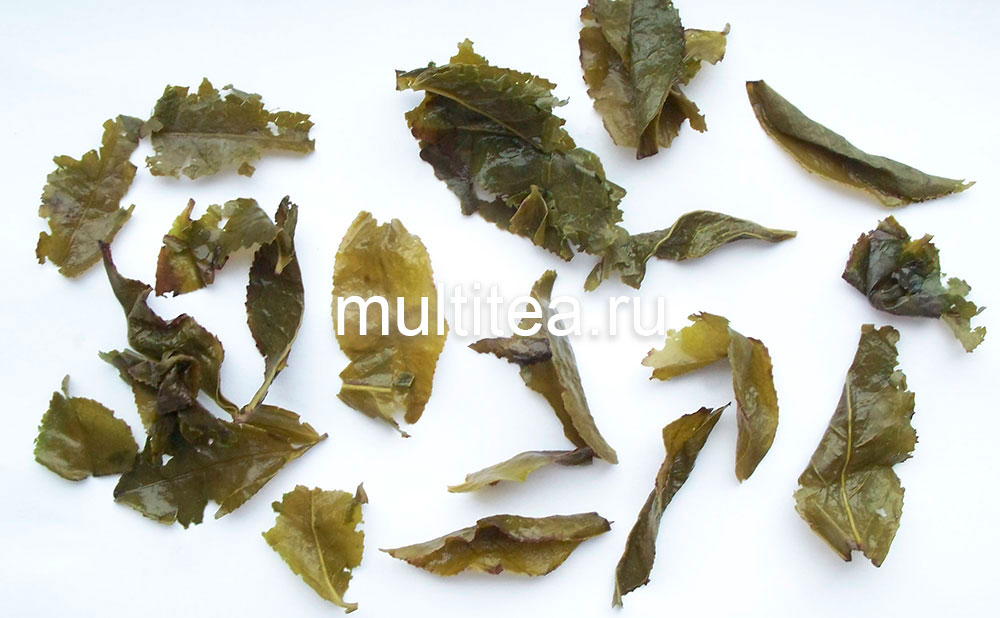 рваные и мятые листья улуна Gold Gui Tieguanyin после заваривания