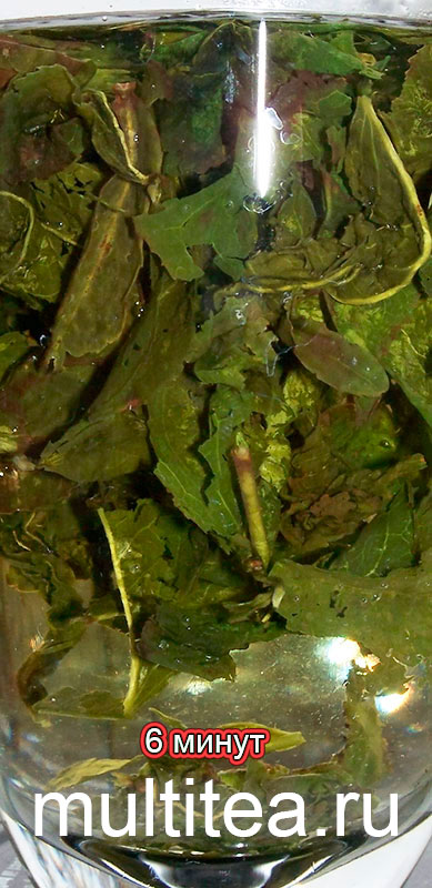 6 минут настаивается улун Gold Gui Tieguanyin