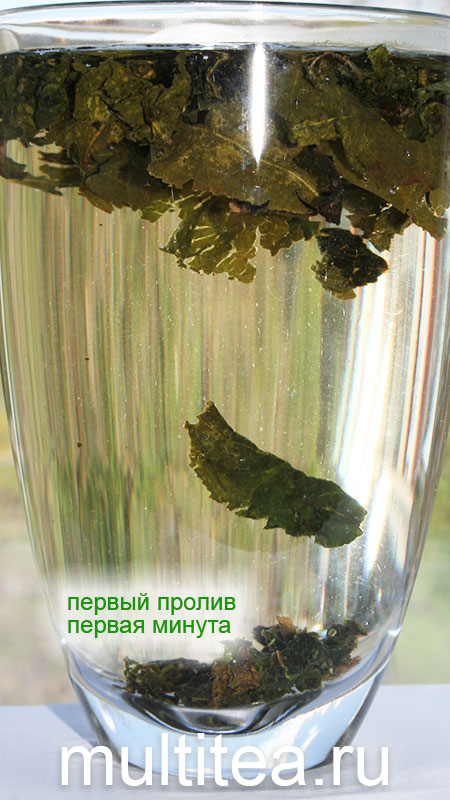 Первая минута первого пролива улун tieguanyin Maoxie