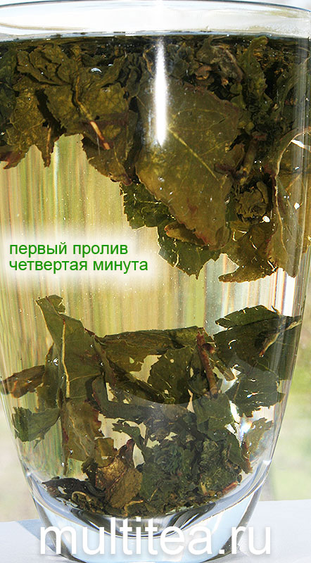 вторая минута первого пролива улун tieguanyin Maoxie