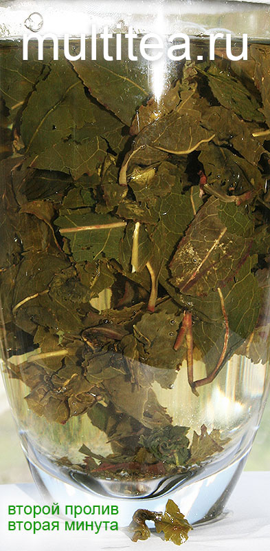 начался второй пролив улуна tieguanyin Maoxie