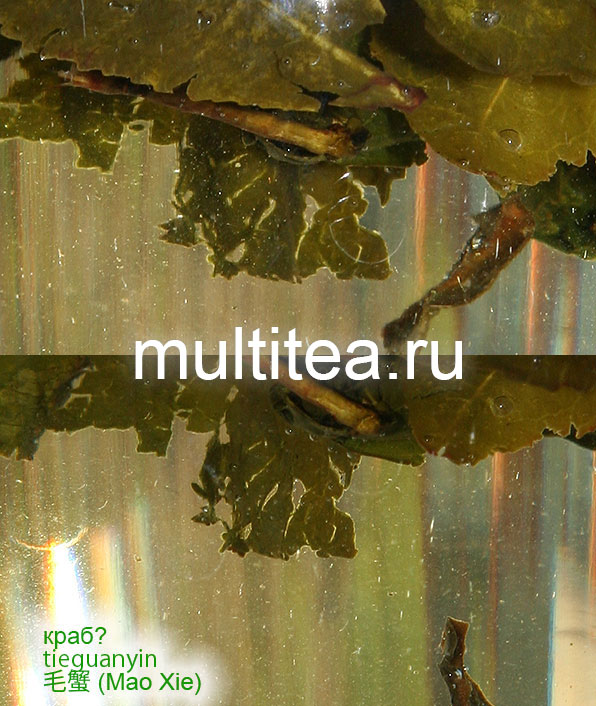 листья улуна tieguanyin Maoxie при заваривании похожи на мохнатого краба