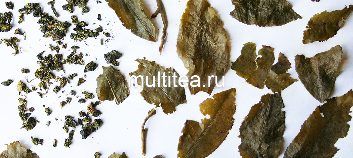 листья улуна tieguanyin Maoxie до заваривания и после заваривания