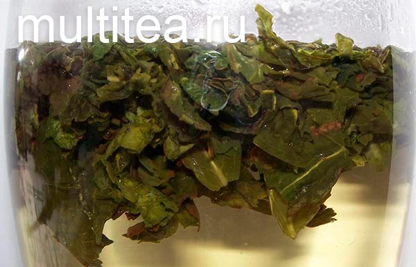 заваривает Tieguanyin слегка остывшим кипятком