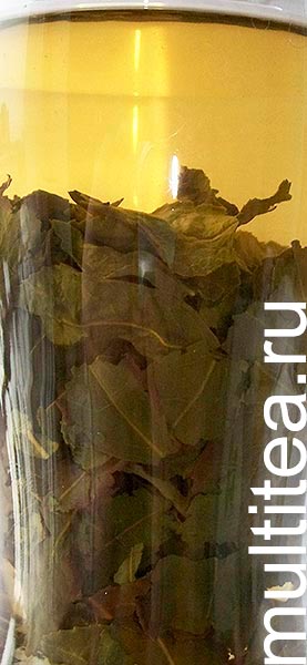 второй пролив Tieguanyin все листья распустились, настой насыщенный