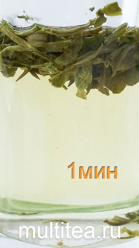 1 минута заваривания зеленого чая Longjing