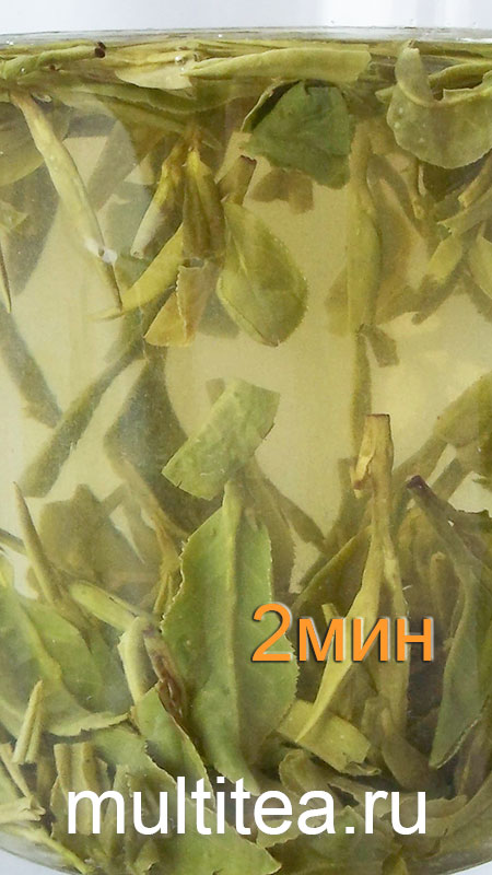 2 минута заваривания зеленого чая Longjing