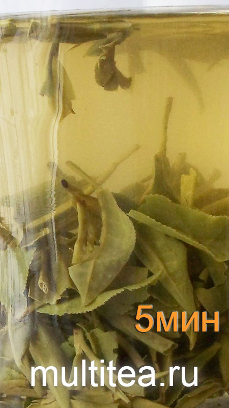 после пяти минут заваривания Longjing