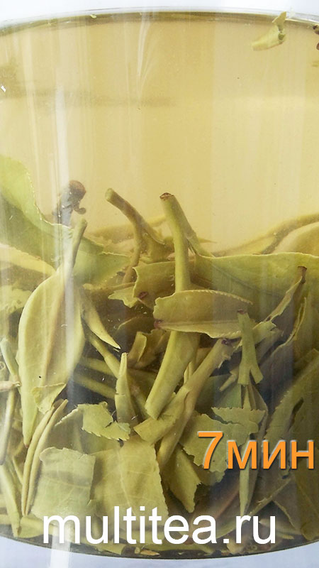 после семи минут заваривания Longjing
