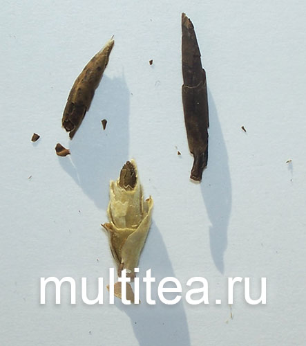 черная серцевина почки Я Бао