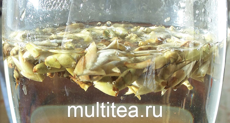 настаивание Я Бао. Первая минута: почки Я Бао еще вверху.